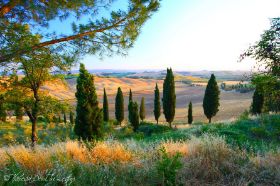 IMG_6571 edU.jpg