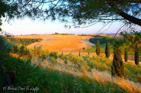 IMG_6574 edU.jpg